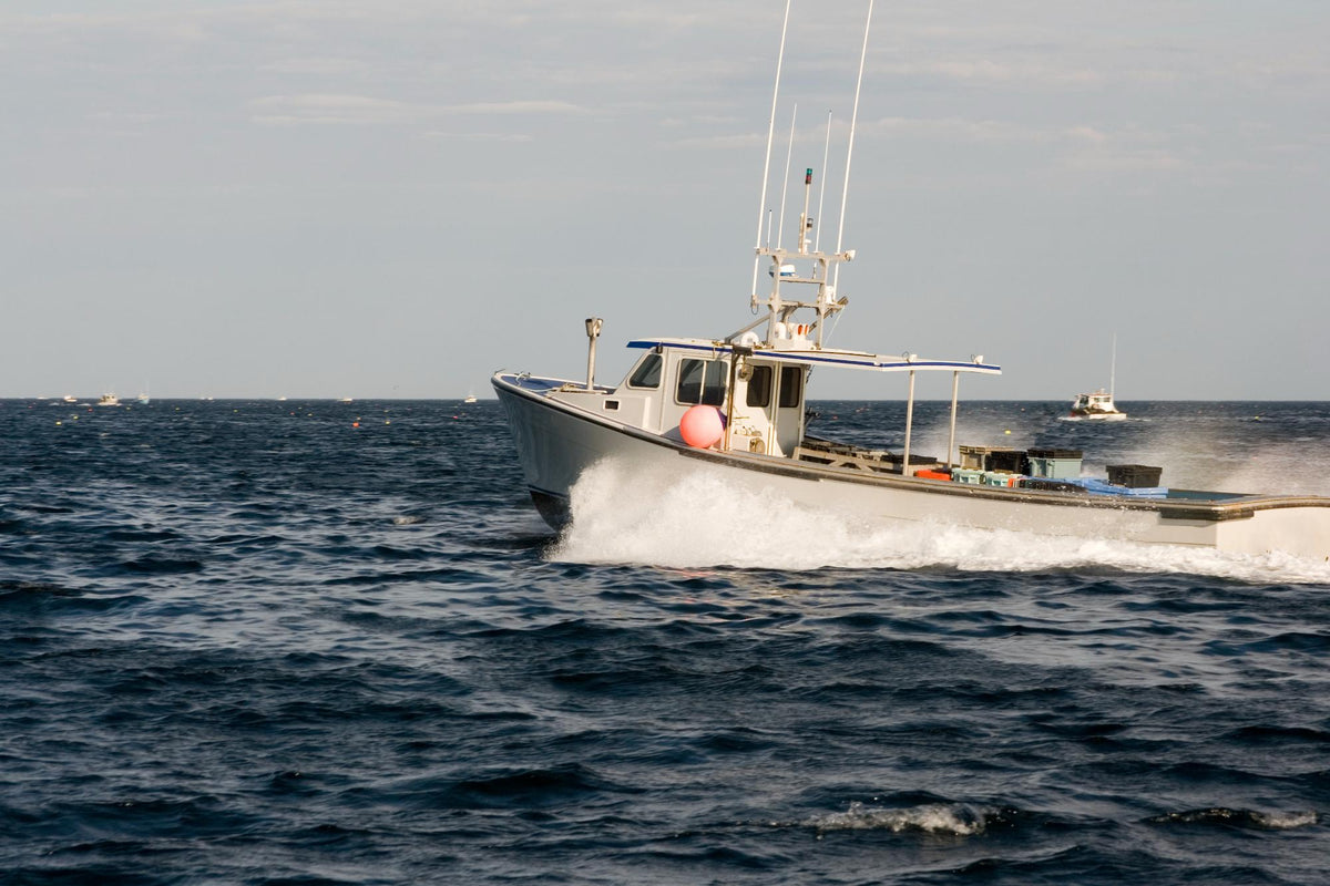What a Coast Guard Investigation Is Telling Commercial Fishing About Engine Cut-Off Switches