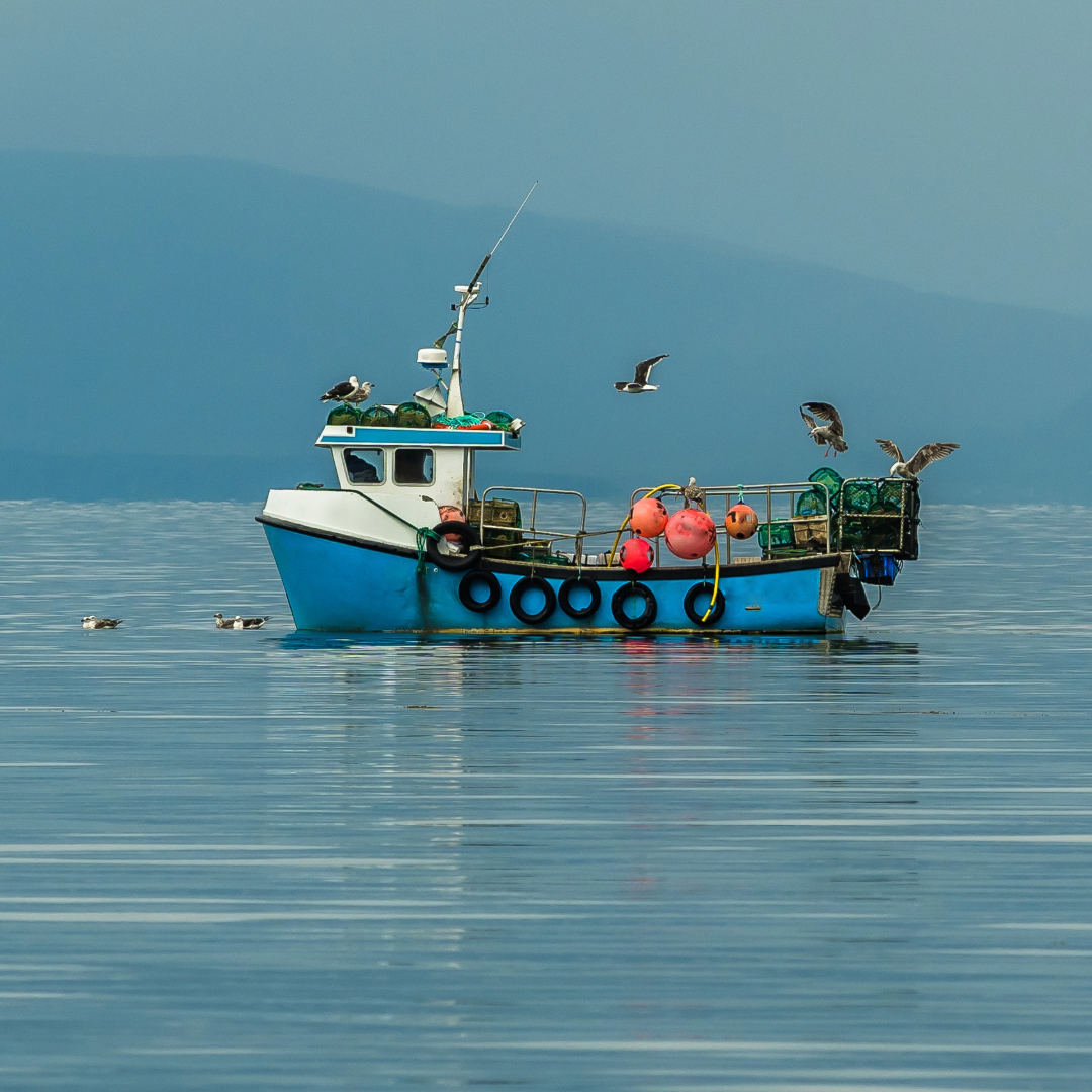 MOB Engine Cut-Off System for Solo Commercial Fishermen